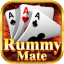 dash rummy icon