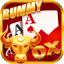 rummy wala app